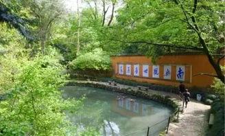 国清1区,探寻历史与现代交融的生态宜居典范